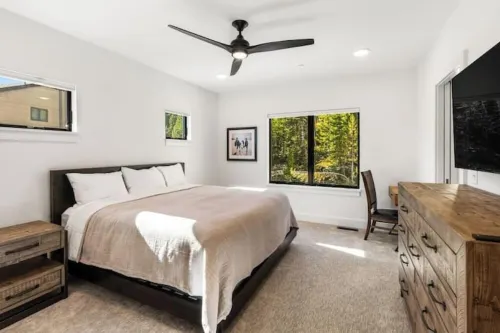 Luxurious Ski-In/Ski out adjacent Ski Slope side!