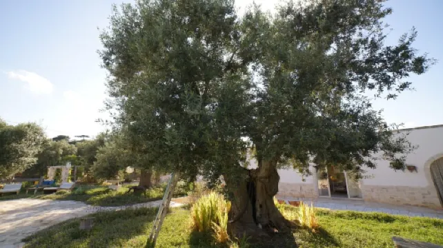 2 Bedroom Private vacation home in Castellana Grotte Hotels in Castellana Grotte