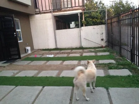 Papas & beer NEW HOME