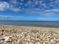 Au logis de Abi Bienvenue 3-star rating Spacious bourgeois apartment