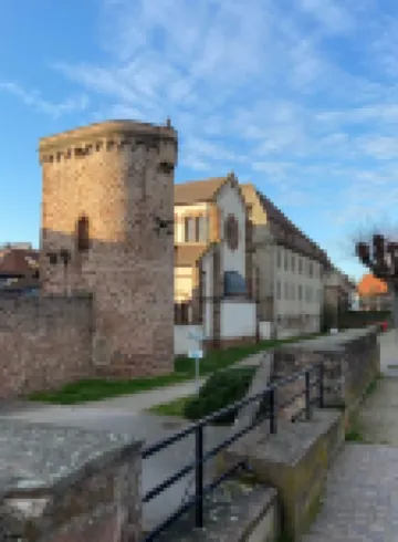 Apartment and garden in house in Obernai