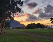 Tropical, Bright Studio: Steps to Golf Course, Beaches, & Amazing Views