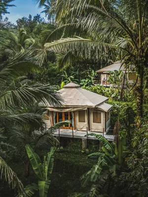 Nadi Nature Resort - Adults Only - Campingplads