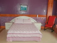 Dolor Hotel Hotels in 