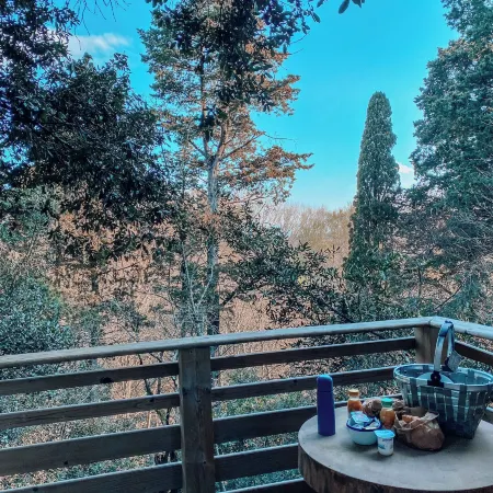 Les Cabanes Dans les Bois Logis Hôtel