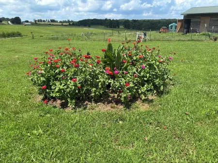 Glamping Tent at Noble Pine Campground