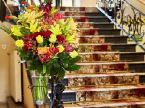 ポレラ クラクフのホテル