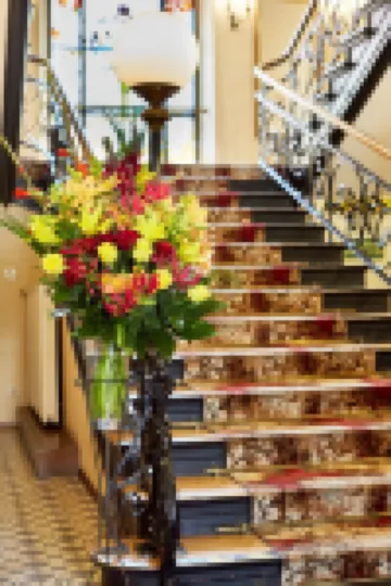 Pollera Hotel di Krakow