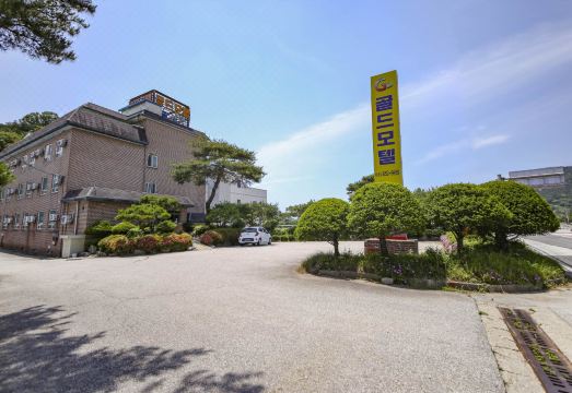 순창 골드