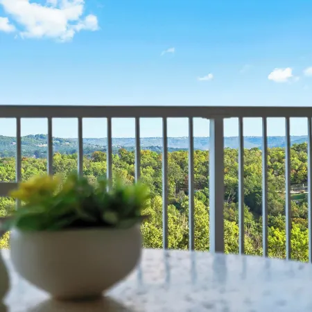 Ozarks Vista Retreat 6ppl Stay