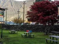 Mountain View Hope Motel Hotels in Hope