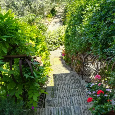 La Terrazza di Dinky