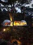 Alma Glamping Hotels in Coatepec