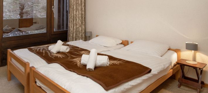 Zodiaque RS 4 Hotels in Leytron