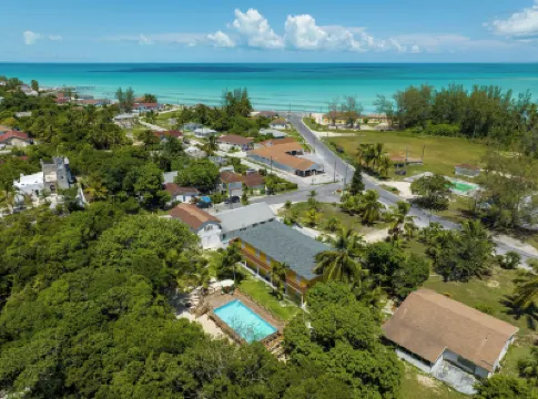Hilton's Haven Hotels in 