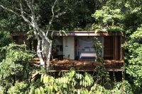 Ascasinhaz Morro de São Paulo