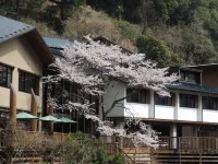 Nakatsukeikoku Yunomori - Homestays
