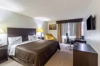 Clarion Inn Near McAllen Airport - bar