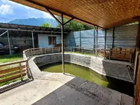Uyut Gornykh Vershin Private House Hotels in Teberda
