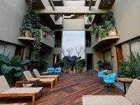 MUSA HOTEL BOUTIQUE Hotels in Bucerias