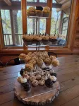 Gorgeous XL Log Cabin in Bloomington, IL! 2 Game Rooms + Hot Tub & Sauna!