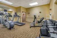 Econo Lodge Inn & Suites Triadelphia - Wheeling - Gym