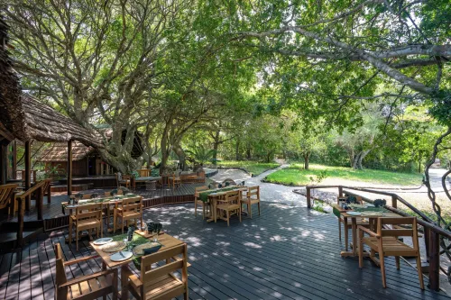 Kosi Forest Lodge - Wifi