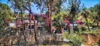 Symbola Oludeniz Beach Hotel - Cheap
