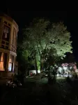 Haslett House - Homestays