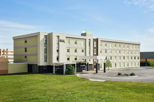 Home2 Suites by Hilton Rapid City - acceptant les animaux