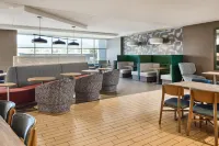 急流市希爾頓惠庭套房酒店 - 酒吧