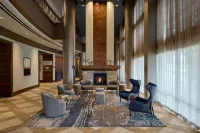 Denver Marriott South at Park Meadows - Swimmingpools