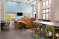 Hampton Inn & Suites Tampa-Wesley Chapel - Lemmikkieläimet sallittu