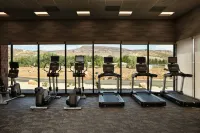 Fairfield Inn & Suites Virgin Zion National Park - Gym