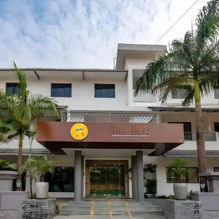 The Bark- An Art Hotel