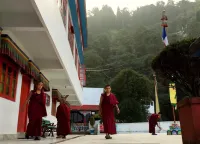 Darjeeling Heights - A Boutique Mountain View Homestay