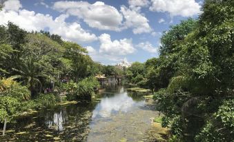 a serene landscape of a pond surrounded by lush greenery , with trees and bushes in the background at Disney's Art of Animation Resort