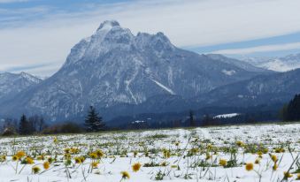 Spacious, Inviting Apartment Near Fussen in the Allgau Region in Bavaria