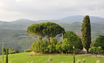 Rustic Tuscan Apartment