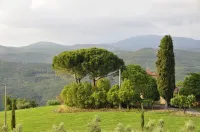 Rustic Tuscan Apartment Các khách sạn ở Massa Marittima