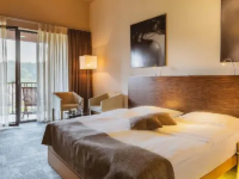 Terme Olimia - Hotel Sotelia Hotels in Podcetrtek