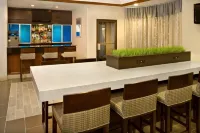 DoubleTree by Hilton Hotel Chicago Wood Dale - Elk Grove