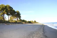 Two-Room Apartment 150 Meters from the Beach - 4 People - Ghisonaccia - Apartments