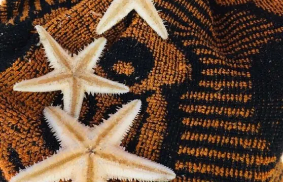 昌江棋子灣旅遊彩虹度假公寓