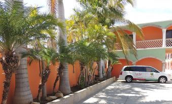 a white van is parked on the side of a driveway next to a row of palm trees and a red building at Cactus Inn Los Cabos