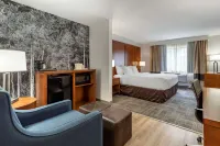 Comfort Suites Golden West on Evergreen Parkway Hotels in Evergreen