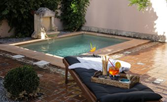 Charming Mas Provencal with Swimming Pool and Jacuzzis Cinema - FLH-Excellence