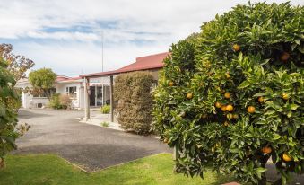 Abbey Court Motel