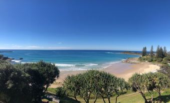 a beautiful beach scene with a large body of water , grassy area , and trees in the background at Pacific Hotel Yamba