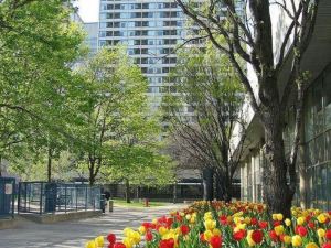 Chestnut Residence - Campus Accommodation